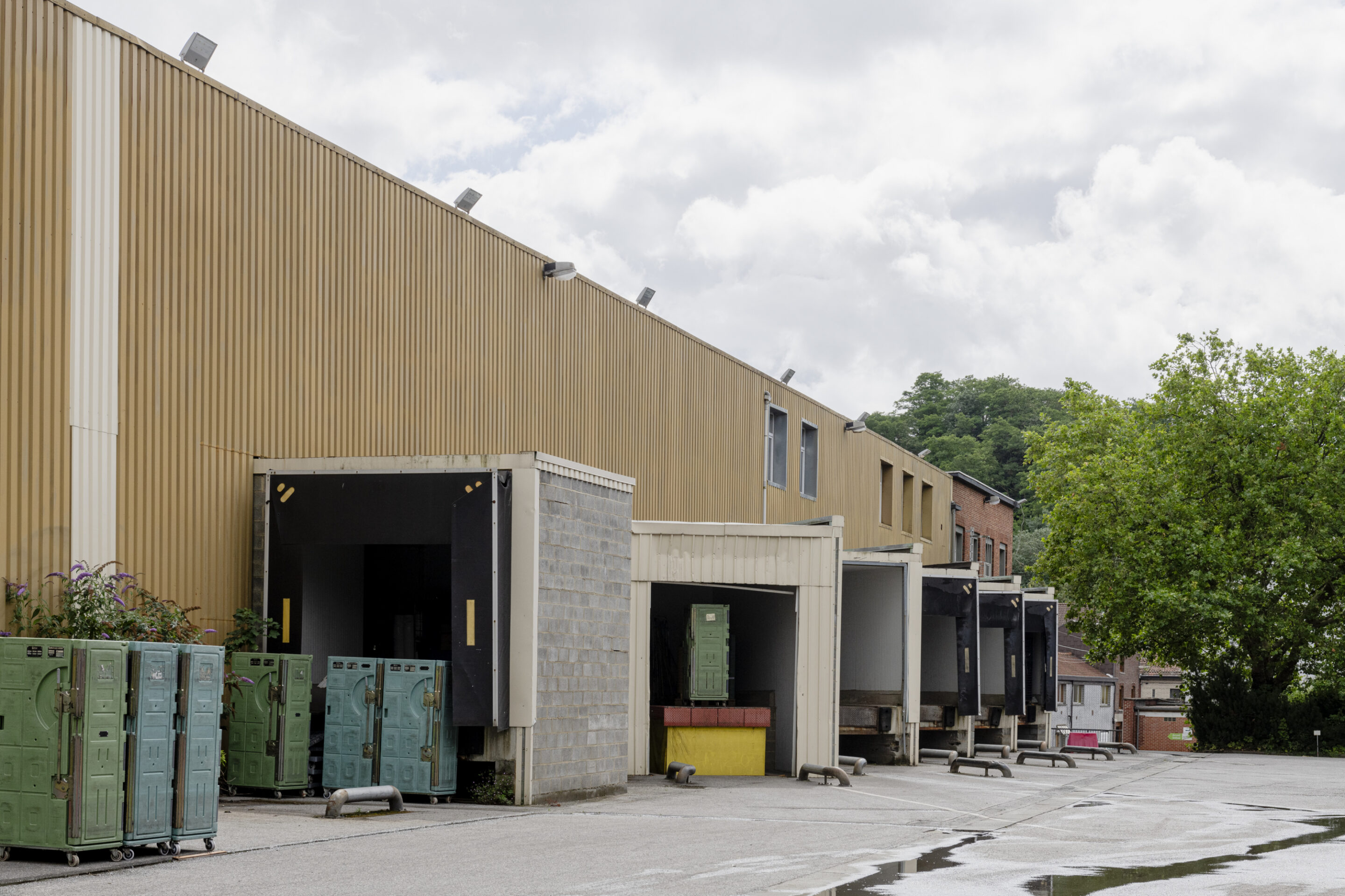 ROCA Charleroi 6
